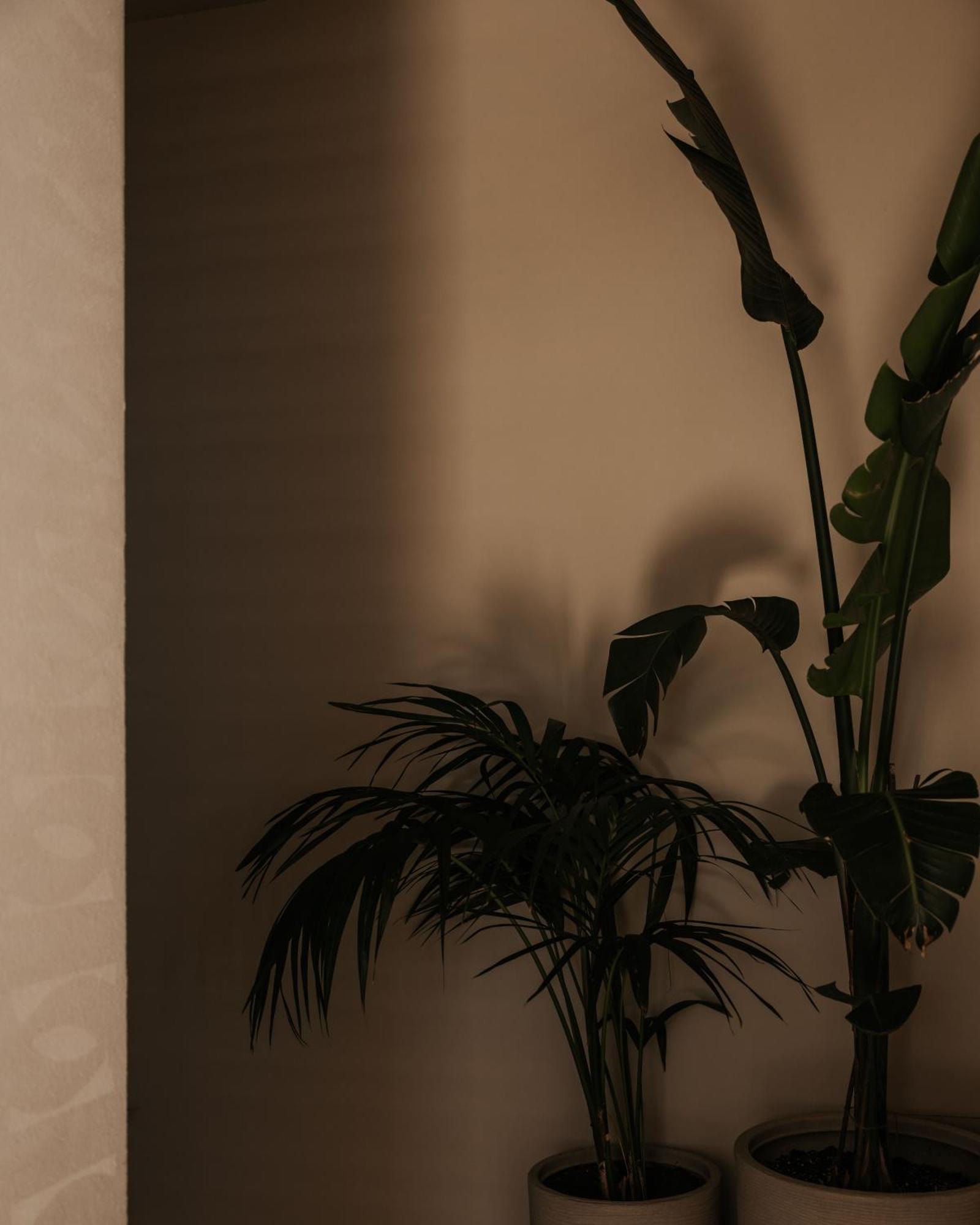 Amente Mindful Stay Plakias Exterior photo